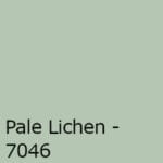 Pale-Lichen-150x150.jpeg